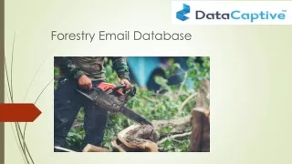 Forestry Email List | Forestry Mailing Database | Forestry Contact Leads