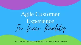 Pillars Of Agile Customer Experience In New Reality