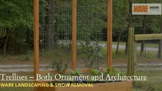 Trellises – Both Ornament and Architecture