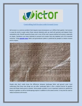 controlling soil erosion with ground cover