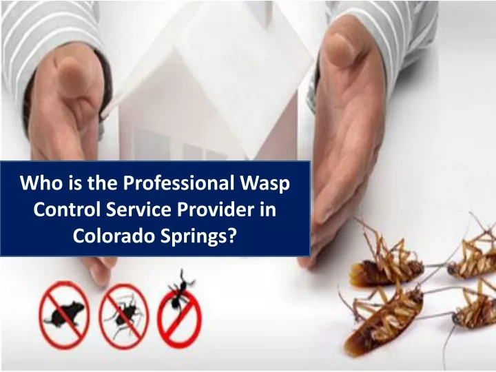 who is the professional wasp control service
