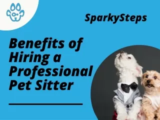 sparkysteps