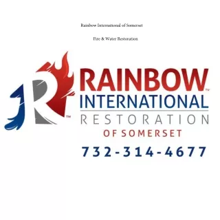 Rainbow International of Somerset NJ