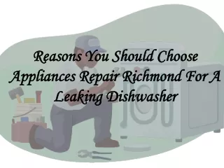Reasons You Should Choose Appliances Repair Richmond For A Leaking Dishwasher