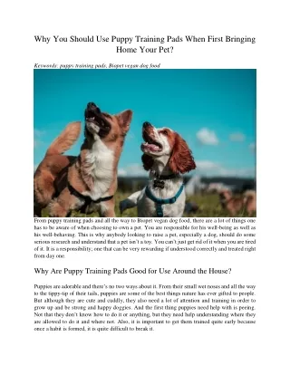 why you should use puppy training pads when first