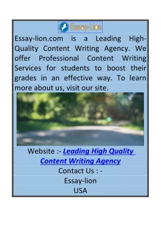 Leading High Quality Content Writing Agency Essay-lion.com