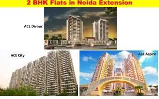 2 BHK Flats in Noida Extension - Ace Group