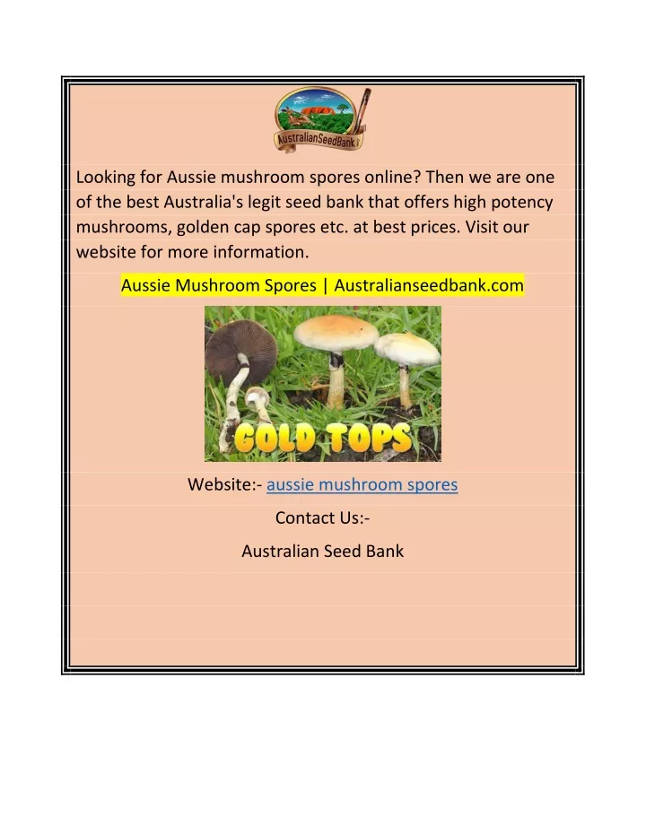 looking for aussie mushroom spores online then