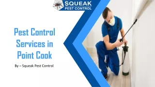 Pest Control Services in Point Cook | Squeak Pest Control | Best Pest Controller