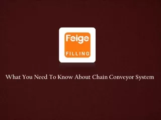 Chain Conveyor System Supplier