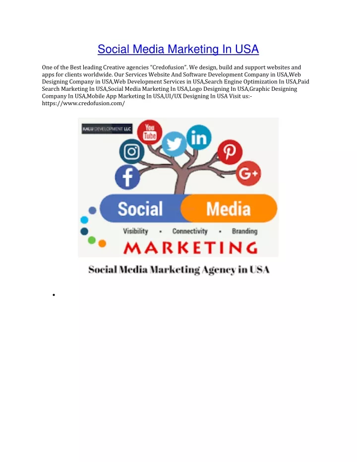 social media marketing in usa one of the best