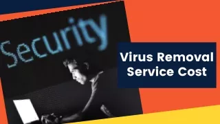 Virus Removal Service Cost