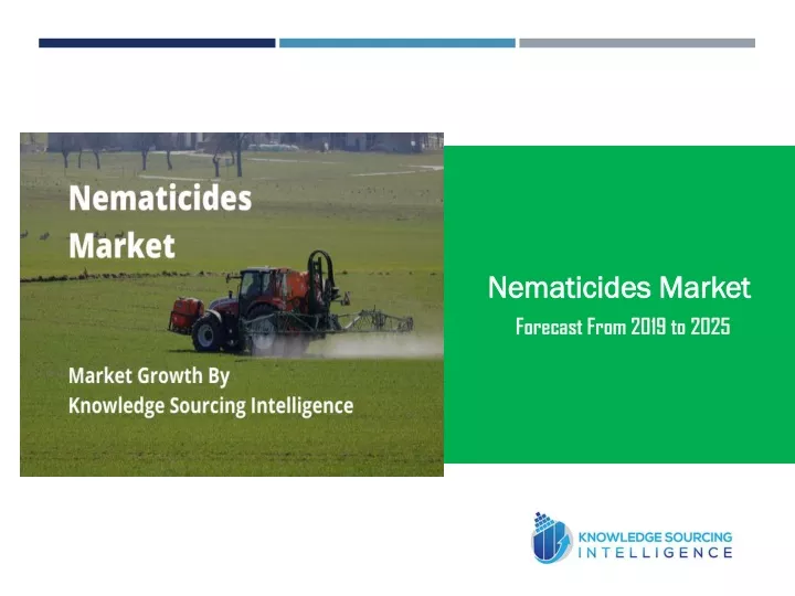 nematicides market forecast from 2019 to 2025