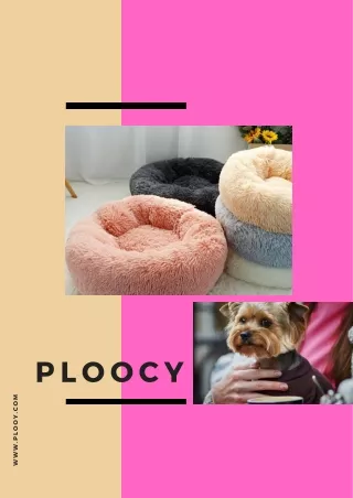 ploocy