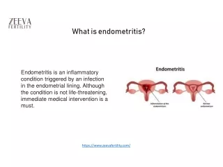 Fertility Expert in Noida explains What is endometritis