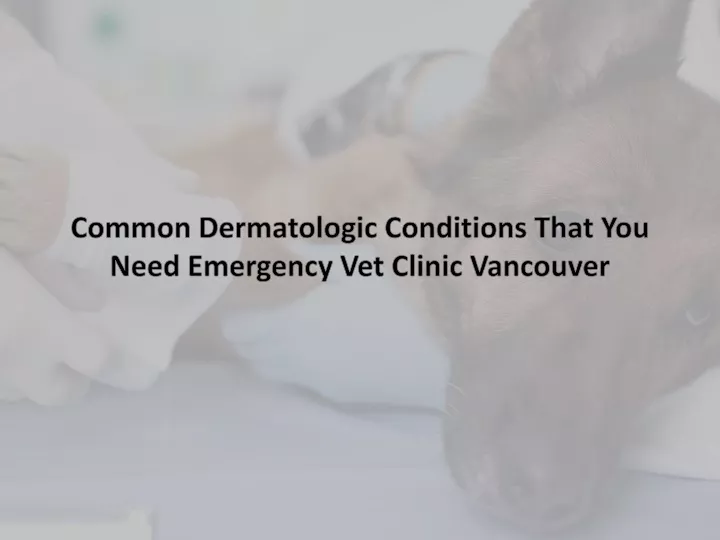 common dermatologic conditions that you need emergency vet clinic vancouver