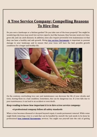 a tree service company compelling reasons to hire