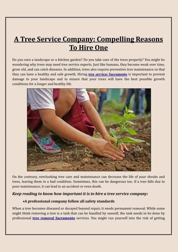 a tree service company compelling reasons to hire