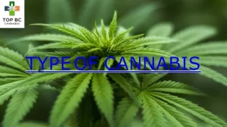 Types of cannabis-converted