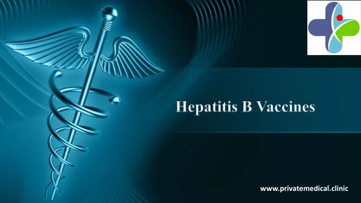 hepatitis b vaccines
