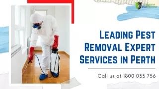 Leading Pest Removal Expert Services in Perth | Impressive Pest Control