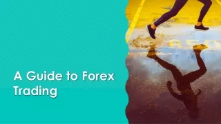a guide to forex trading