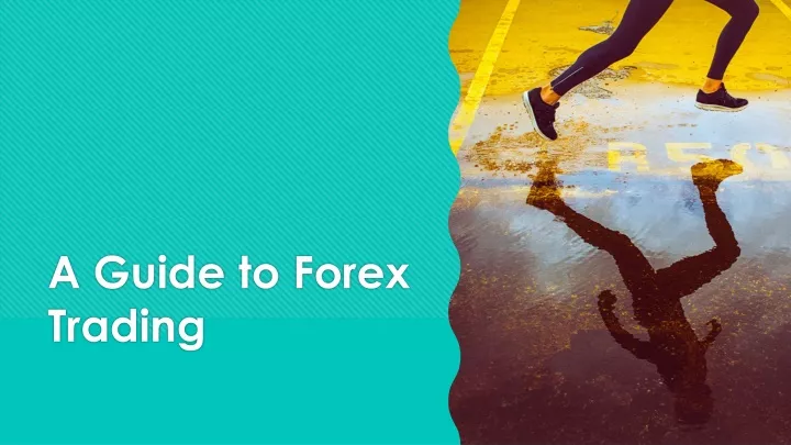 a guide to forex trading