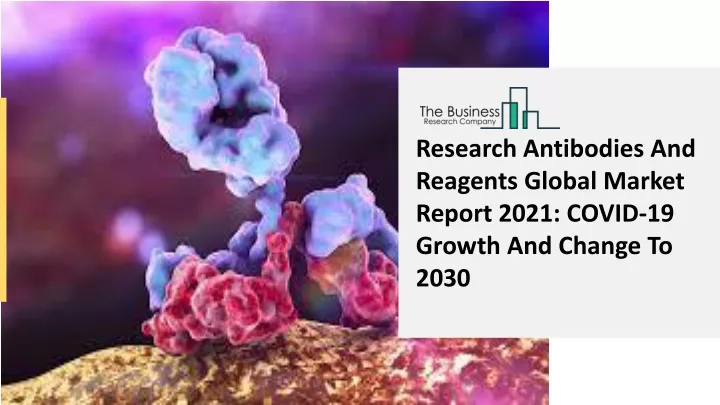 research antibodies and reagents global market