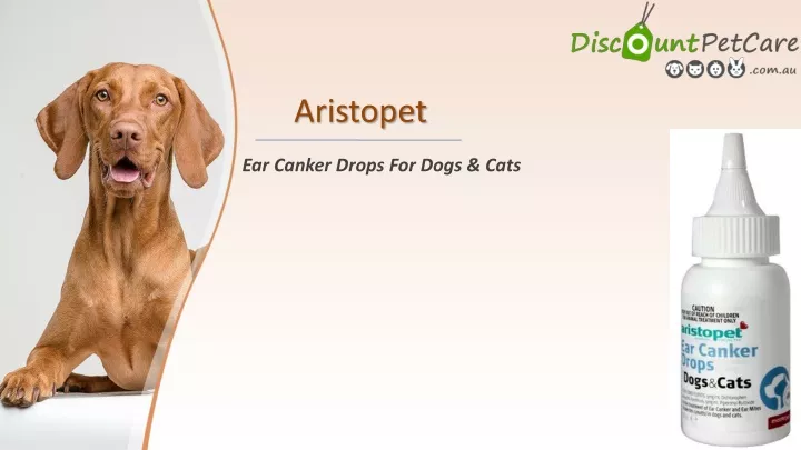 aristopet