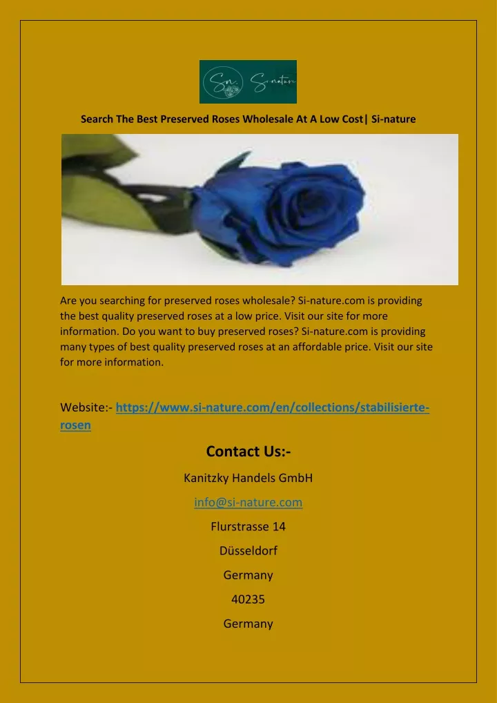 search the best preserved roses wholesale