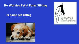 Pet Sitting Franklin | Find Professional Pet Sitters