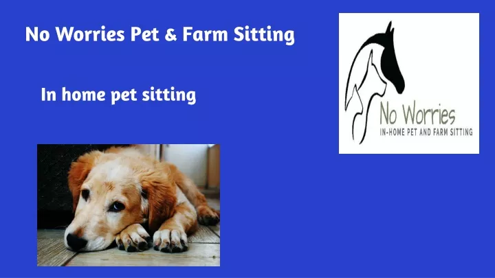 no worries pet farm sitting