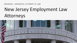 New Jersey Employment Law Attorneys