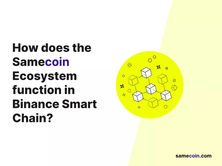 how does the same coin ecosystem function