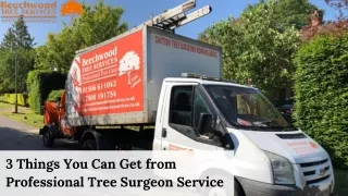 3 Things You Can Get from Professional Tree Surgeon Service | Beechwood Tree