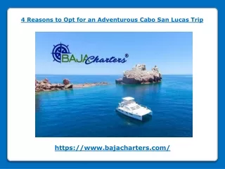4 Reasons to Opt for an Adventurous Cabo San Lucas Trip