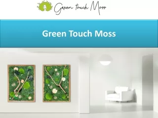 green touch moss