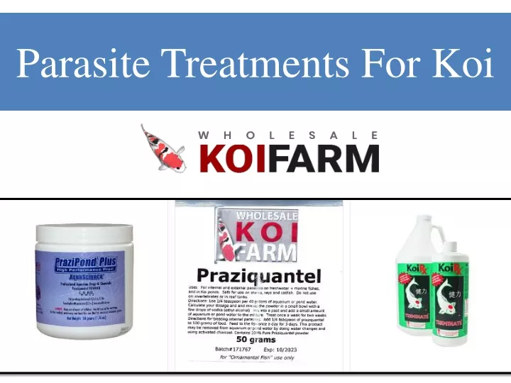 parasite treatments for koi