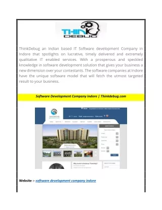 Software Development Company Indore  Thinkdebug
