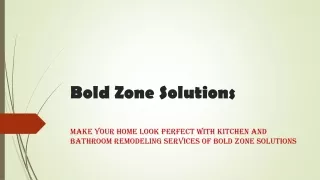 bold zone solutions