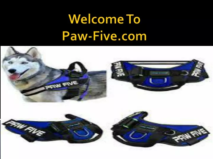 welcome to paw five com