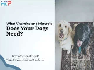 DOGS.SUPPLEMENTS