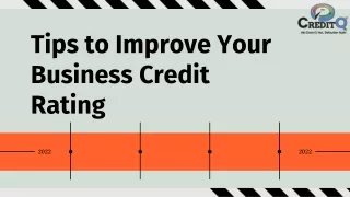 tips to improve your business credit rating