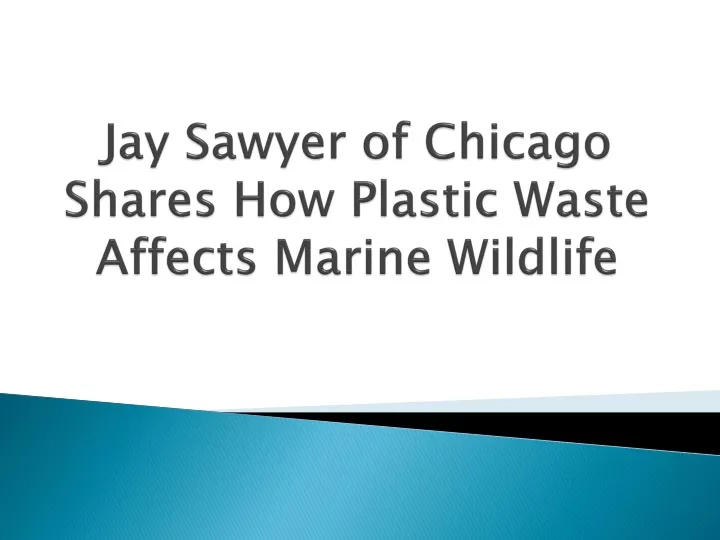 jay sawyer of chicago shares how plastic waste affects marine wildlife