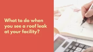 what to do when you see a roof leak at your