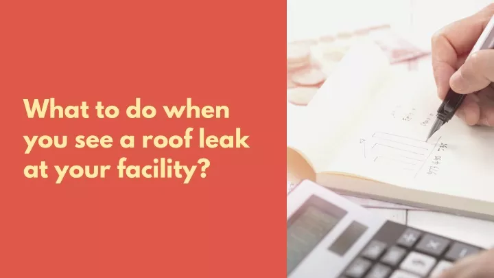 what to do when you see a roof leak at your