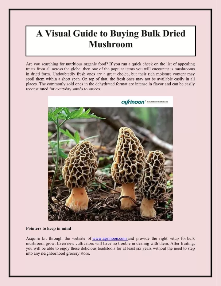a visual guide to buying bulk dried mushroom