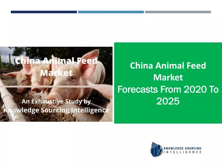 china animal feed market forecasts from 2020