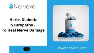 Herbs Diabetic Neuropathy - To Heal Nerve Damage
