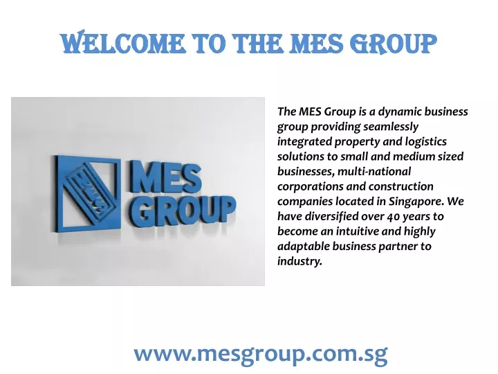 welcome to the mes group